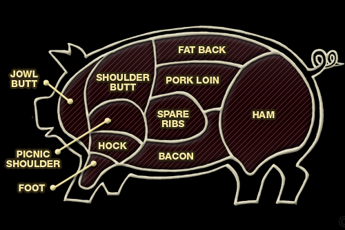 豚肉の部位説明