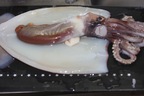 アオリイカを捌く