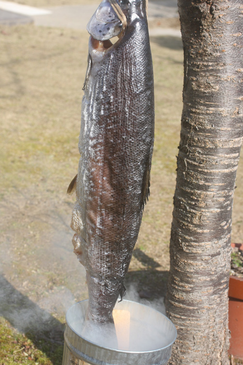 キングサーモンを燻製