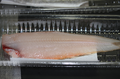 舌ヒラメの燻製