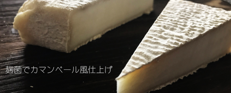 白カビ自家製カマンベールチーズ