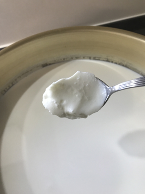 ヨーグルト投入