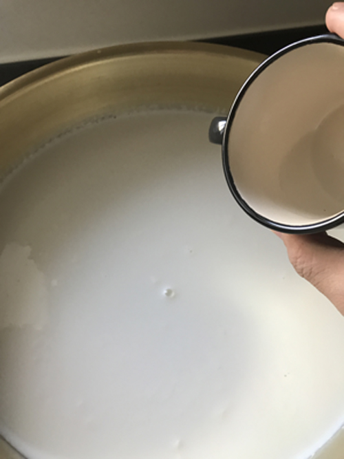 レンネットを牛乳にいれる