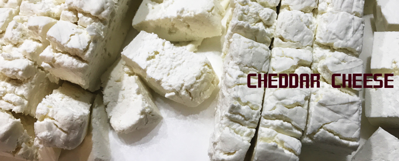 自家製手作りチェダーチーズの作り方
