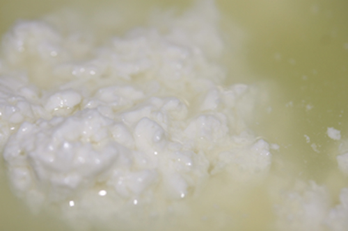 カードが凝固している