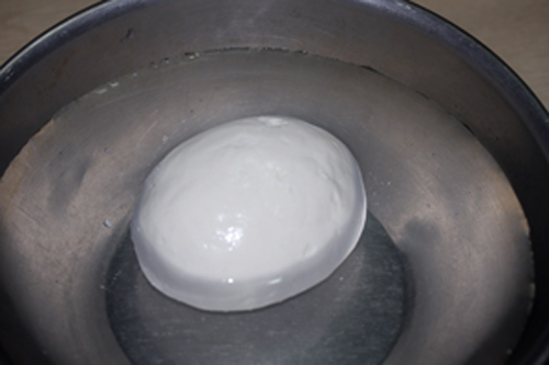 チーズの塩漬け