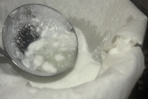 オタマでタンパク質をすくう