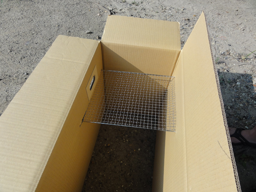 名古屋天白公園で燻製