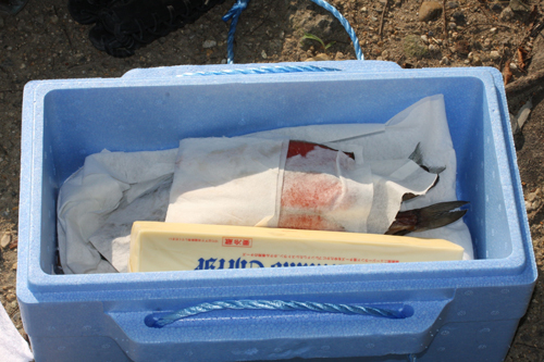 アウトドアでの燻製食材は保冷が大切