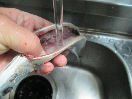 秋刀魚燻製の仕込