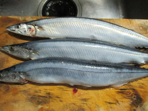 秋刀魚の燻製を作る