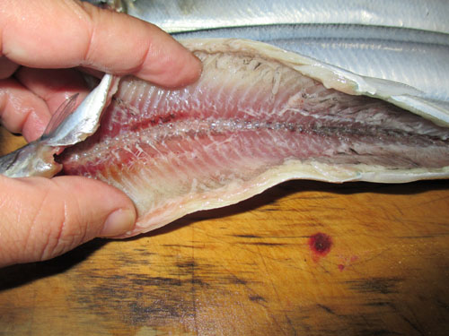 秋刀魚をさばきます