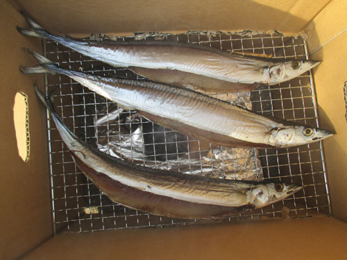 さんまの段ボール燻製