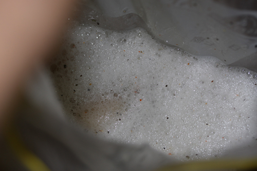 ホタテ貝柱の燻製を仕込む