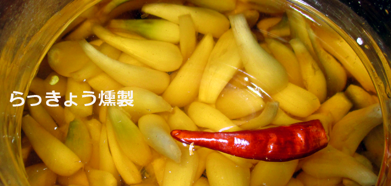 らっきょう燻製