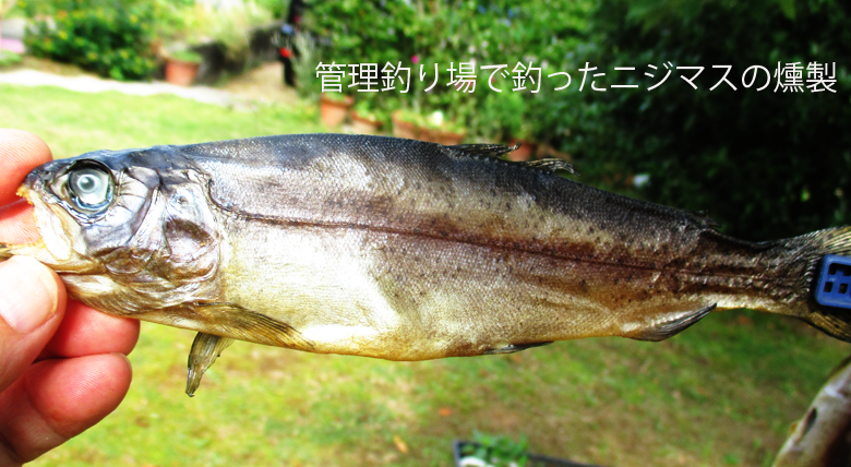 養殖ニジマスの燻製