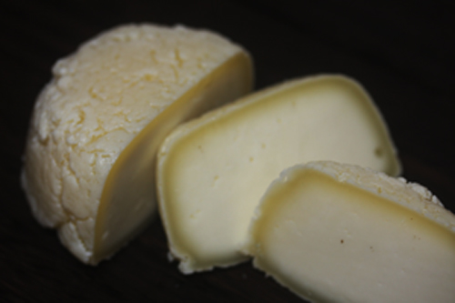 モンゴルのチーズ