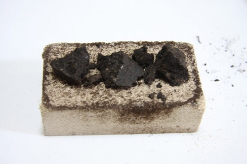 ホッキ貝の燻製はスモークウッドで作る