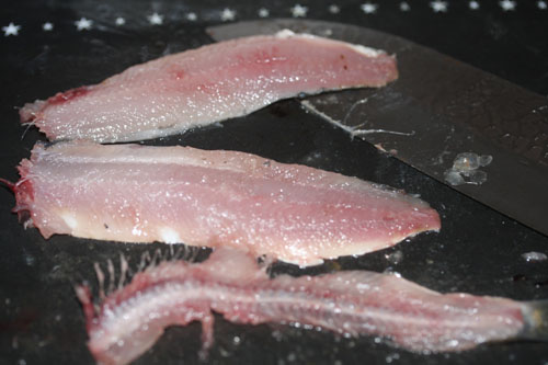 カタクチイワシのさばき方