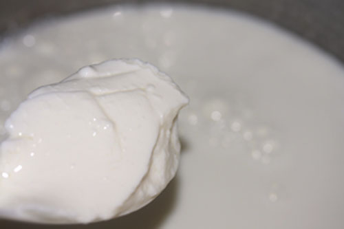 ヨーグルトを入れる