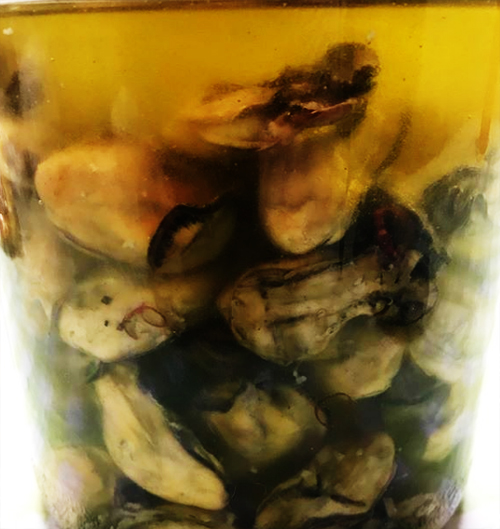 牡蠣の燻製オリーブオイル漬けニンニクと鷹の爪入り