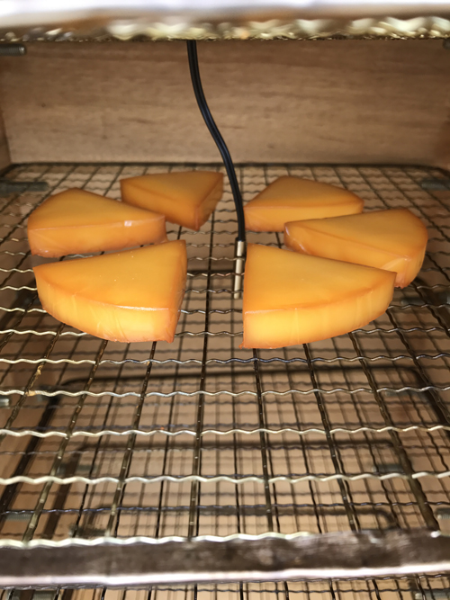 燻製用サーミスタ