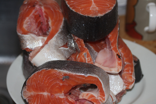 ニジマスを捌く