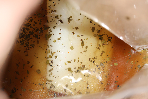 鱈をソミュール液に漬ける