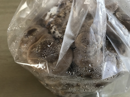 もりのしいたけ農園キット