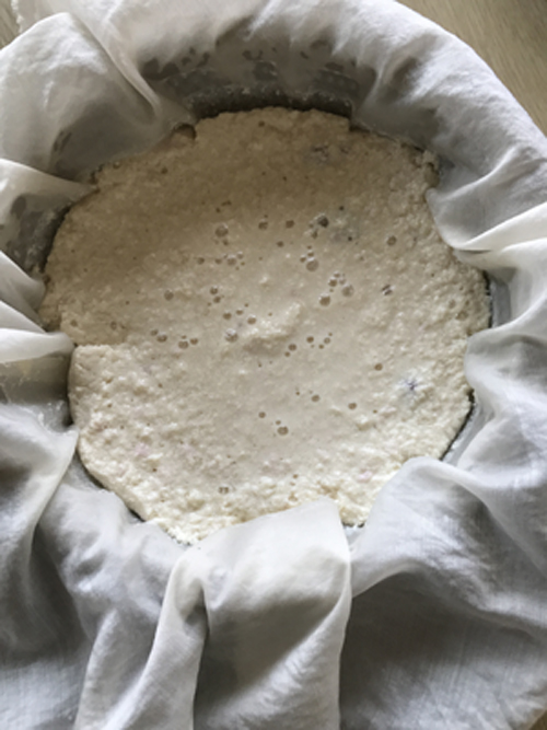 豆乳チーズを濾す