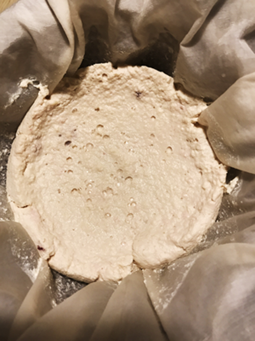 自家製ソイプロテイン