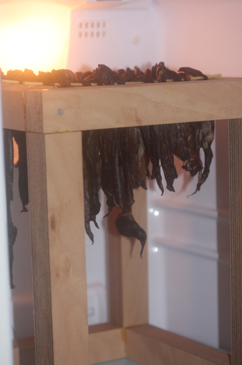 冷蔵庫でビーフジャーキー作り