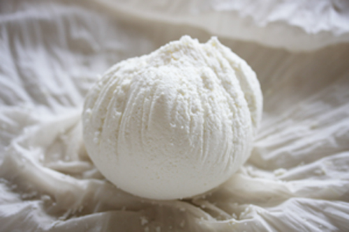 自家製カッテージチーズ