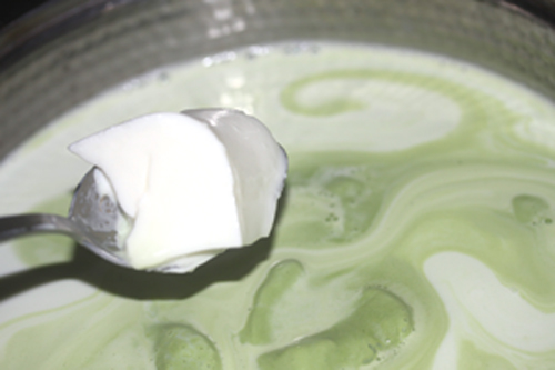 ブルガリアヨーグルト